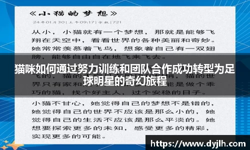 猫咪如何通过努力训练和团队合作成功转型为足球明星的奇幻旅程